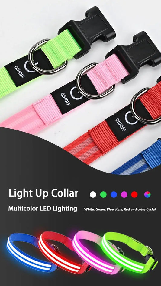 LED Safety Dog Collar — USB Rechargeable, Glowing Night Walk Collar