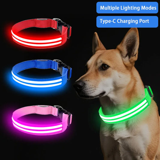 LED Safety Dog Collar — USB Rechargeable, Glowing Night Walk Collar