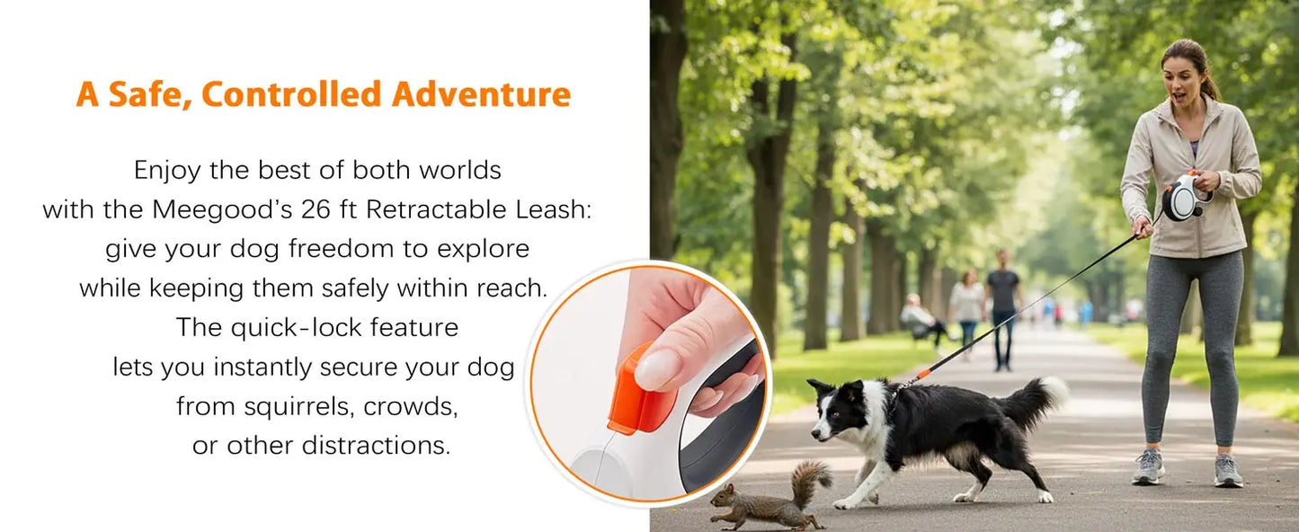 Retractable Dog Leash — Heavy Duty 5m/8m, Fits Small to Large Dogs (Up to 50kg)