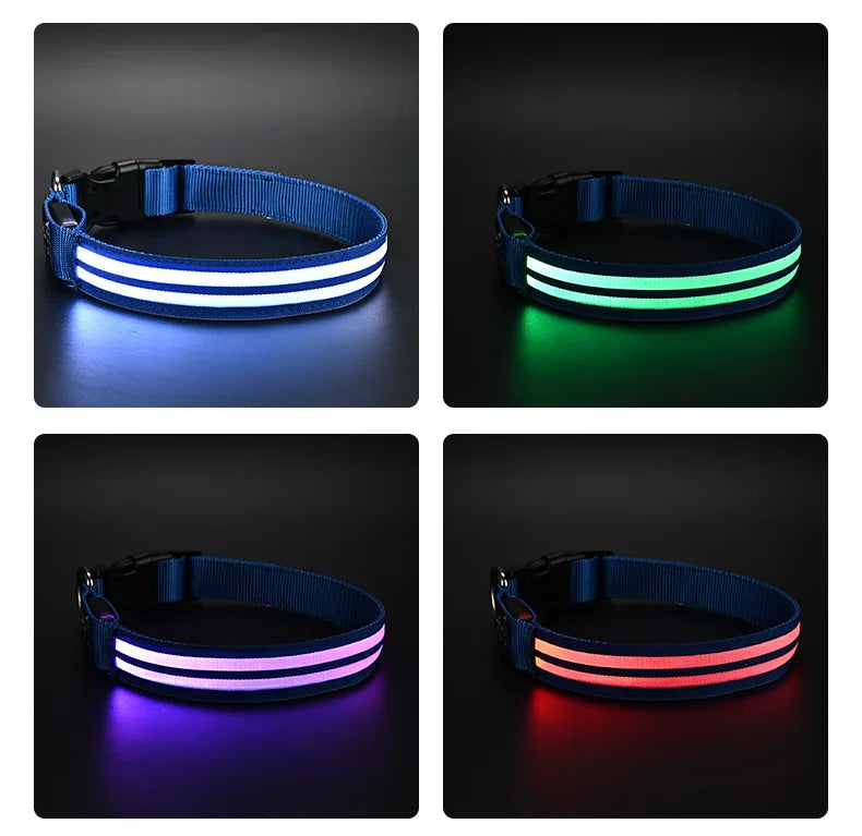 LED Safety Dog Collar — USB Rechargeable Glowing Night Walk Collar