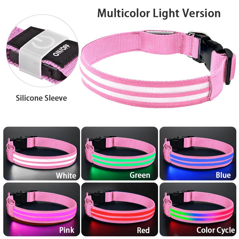 LED Safety Dog Collar — USB Rechargeable Glowing Night Walk Collar