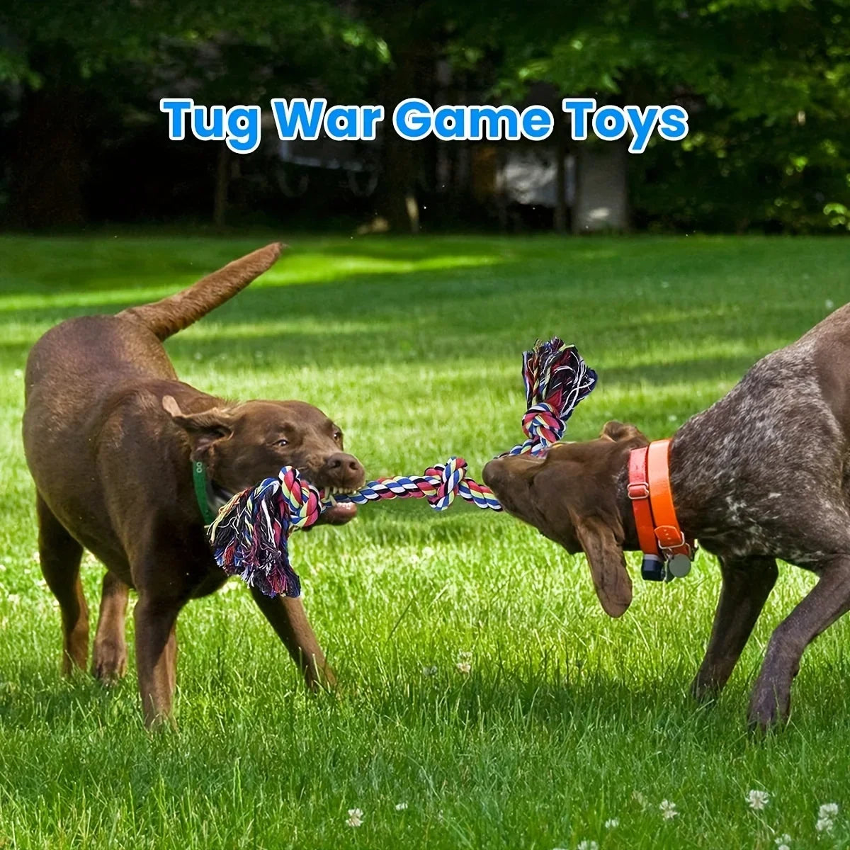 Indestructible Dog Rope Chew Toy — Heavy Duty Knot Tug Toy, Medium & Large Dogs