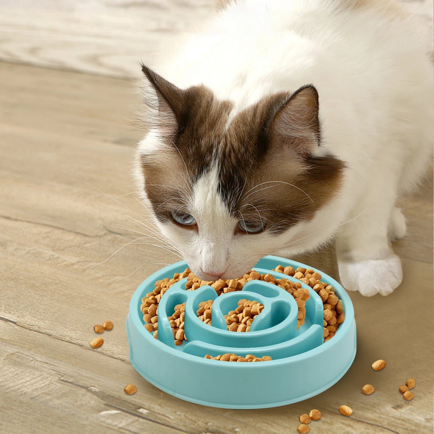 Slow Feeder Dog Bowl — Anti-Bloat Maze Design, Non-Slip, All Sizes