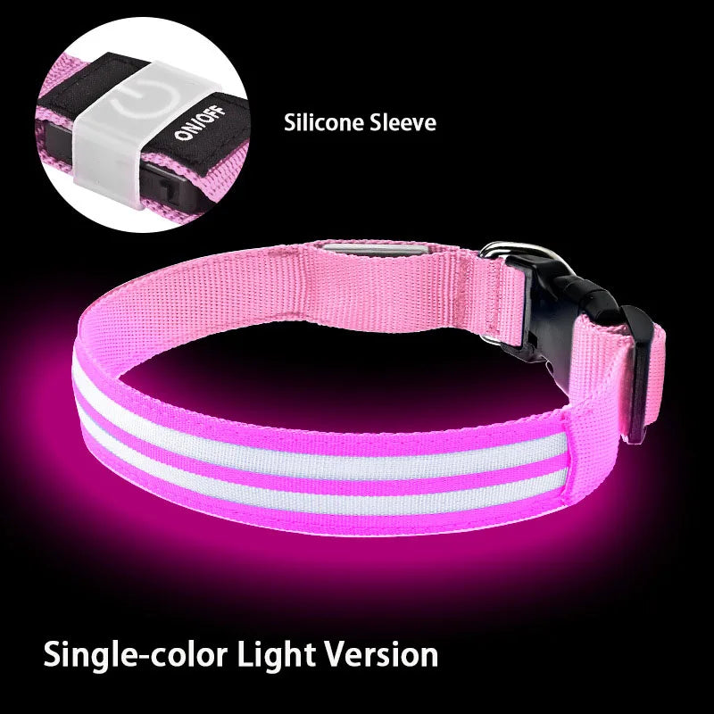 LED Safety Dog Collar — USB Rechargeable Glowing Night Walk Collar