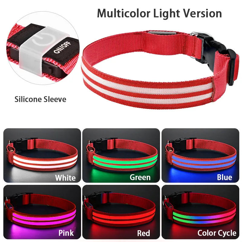 LED Safety Dog Collar — USB Rechargeable Glowing Night Walk Collar