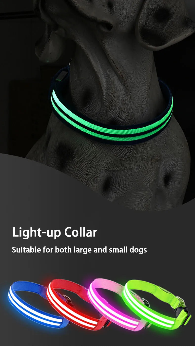 LED Safety Dog Collar — USB Rechargeable Glowing Night Walk Collar