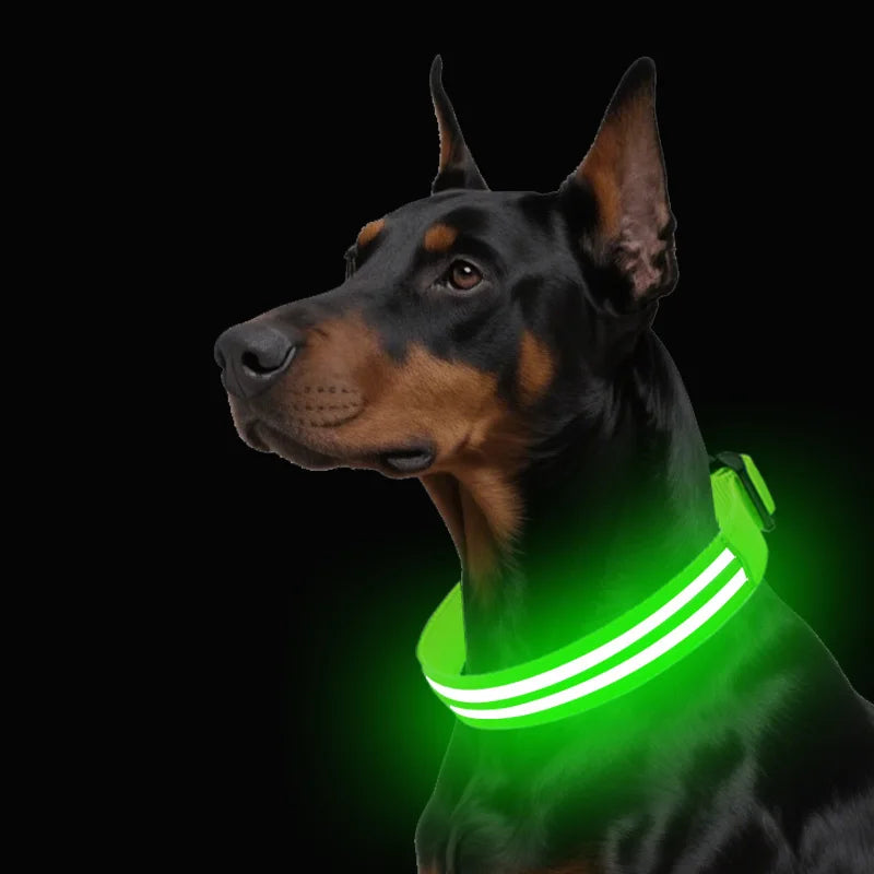 LED Safety Dog Collar — USB Rechargeable Glowing Night Walk Collar