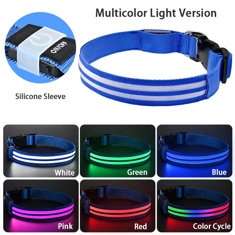 LED Safety Dog Collar — USB Rechargeable Glowing Night Walk Collar