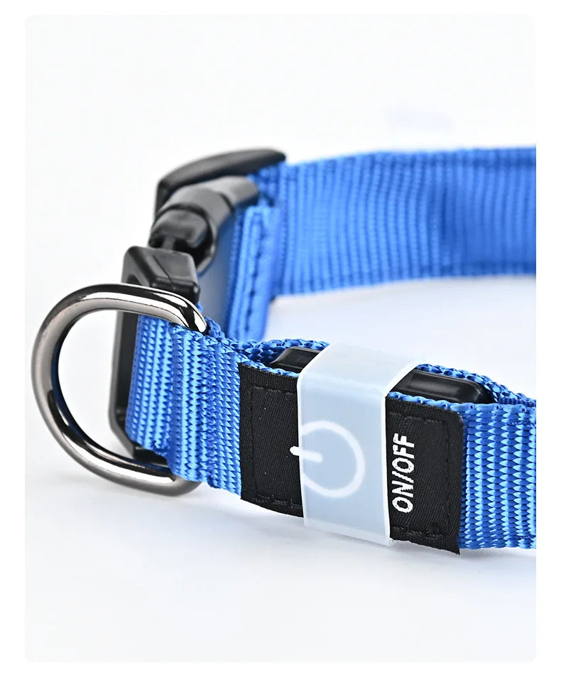 LED Safety Dog Collar — USB Rechargeable Glowing Night Walk Collar