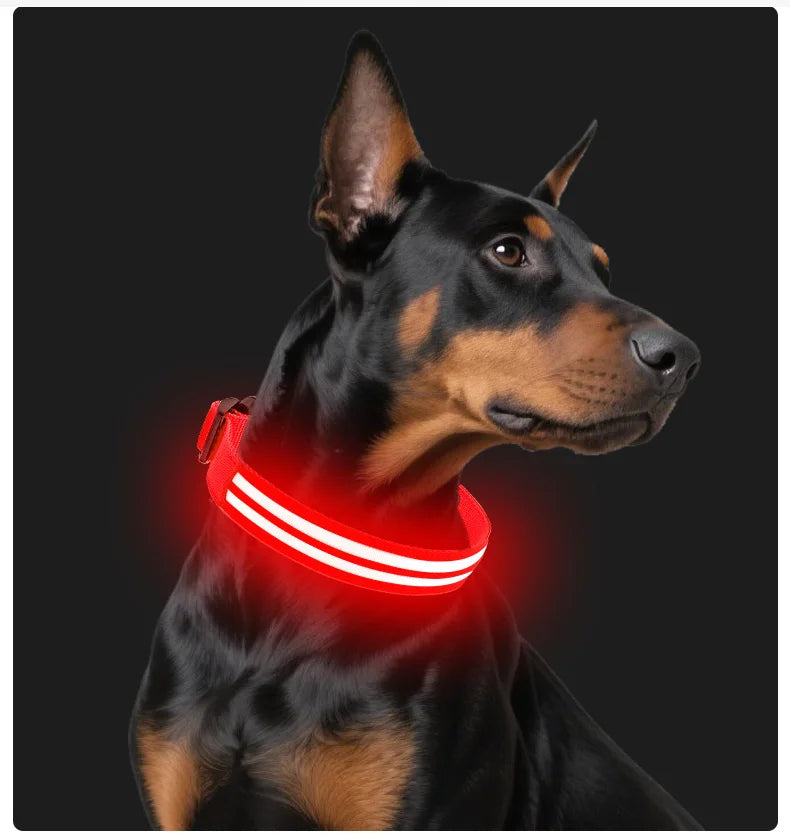 LED Safety Dog Collar — USB Rechargeable Glowing Night Walk Collar