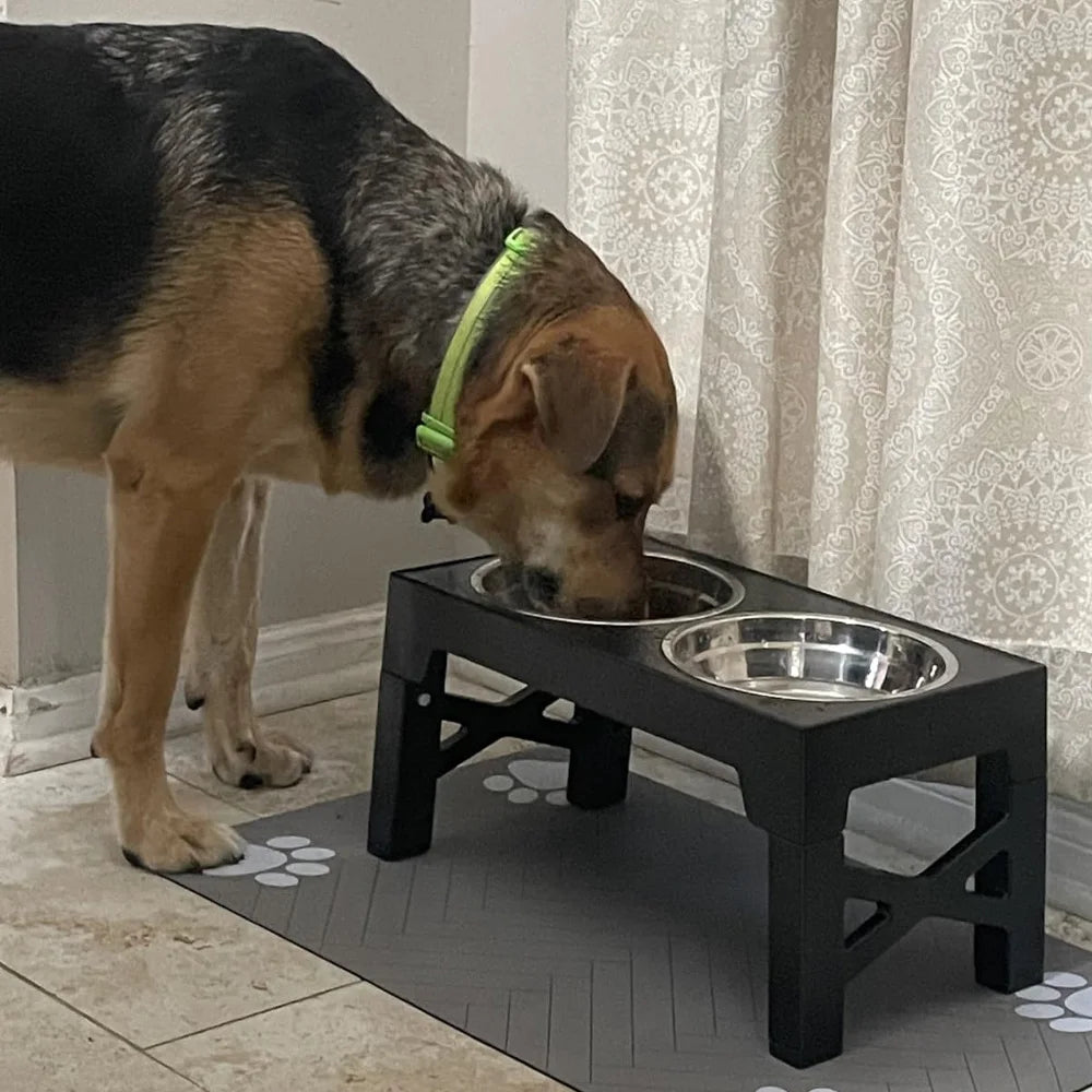 Elevated Dog Feeding Bowl Stand — Adjustable Height, Double Stainless Steel Bowls