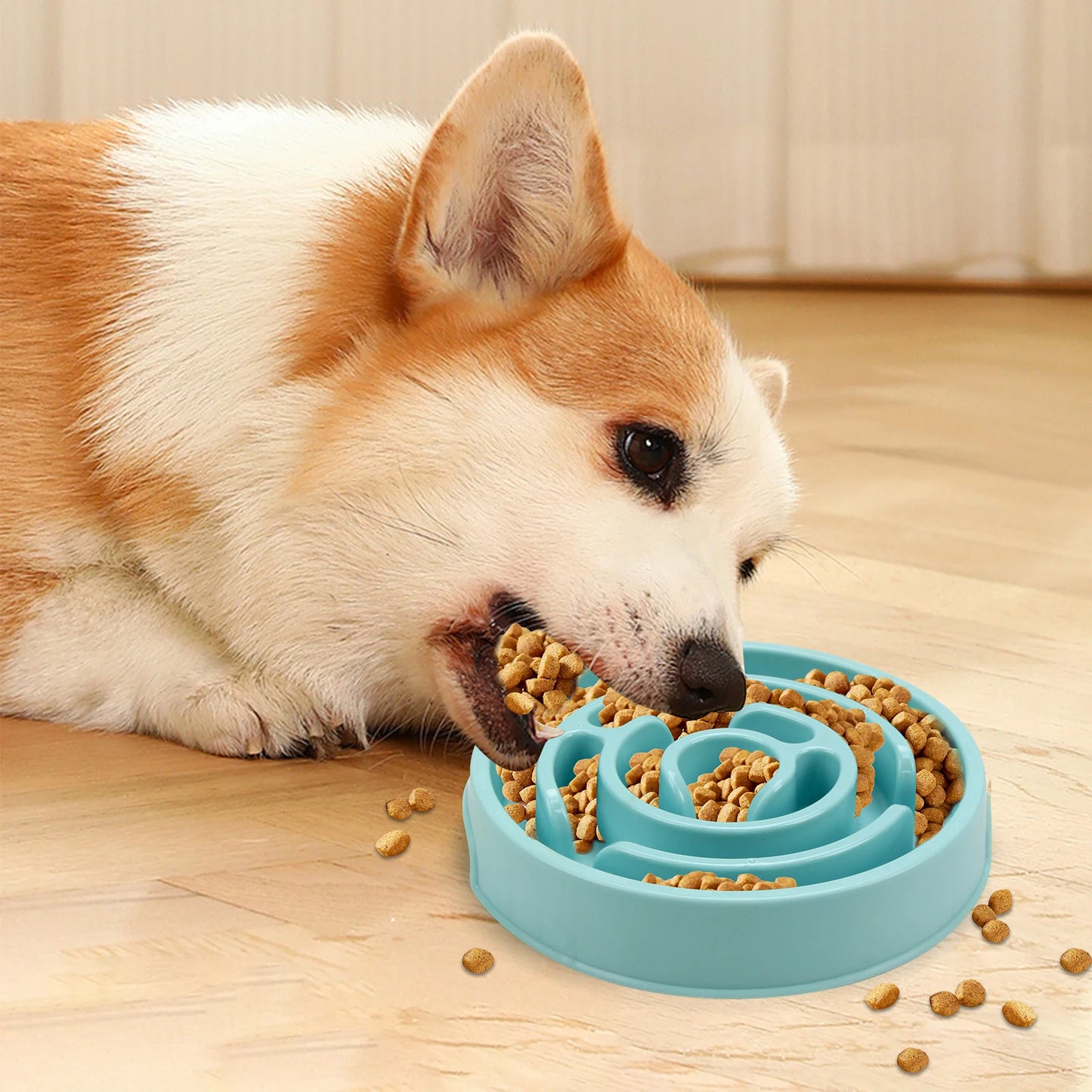 Slow Feeder Dog Bowl — Anti-Bloat Maze Design, Non-Slip, All Sizes