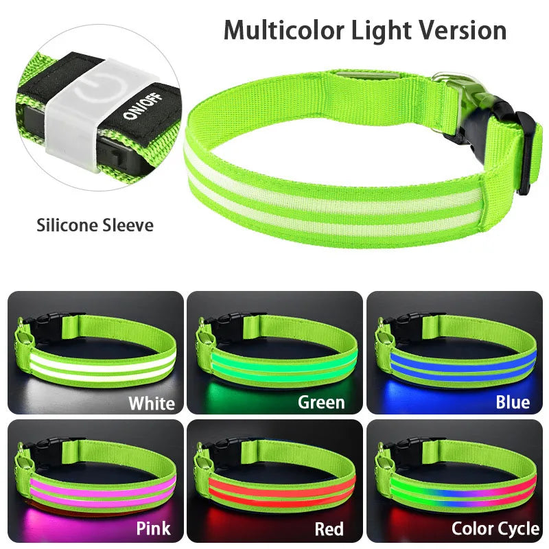 LED Safety Dog Collar — USB Rechargeable Glowing Night Walk Collar