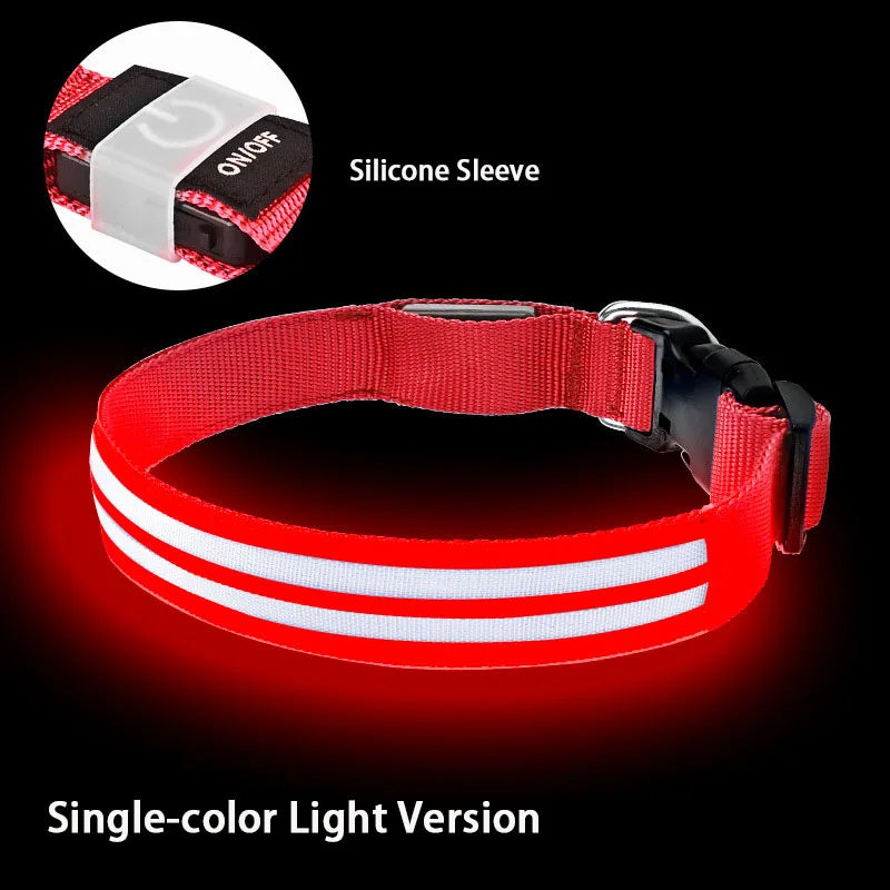 LED Safety Dog Collar — USB Rechargeable Glowing Night Walk Collar