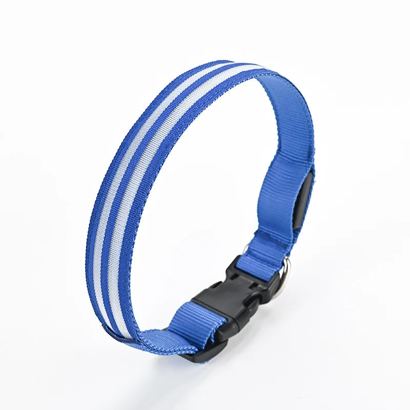 LED Safety Dog Collar — USB Rechargeable Glowing Night Walk Collar