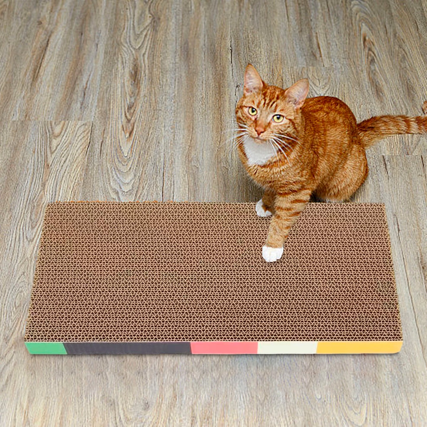 Cat Scratcher Lounge Pad — Reversible Cardboard, Catnip Included