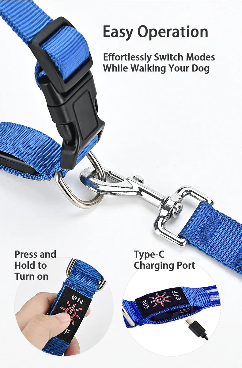 LED Safety Dog Collar — USB Rechargeable Glowing Night Walk Collar