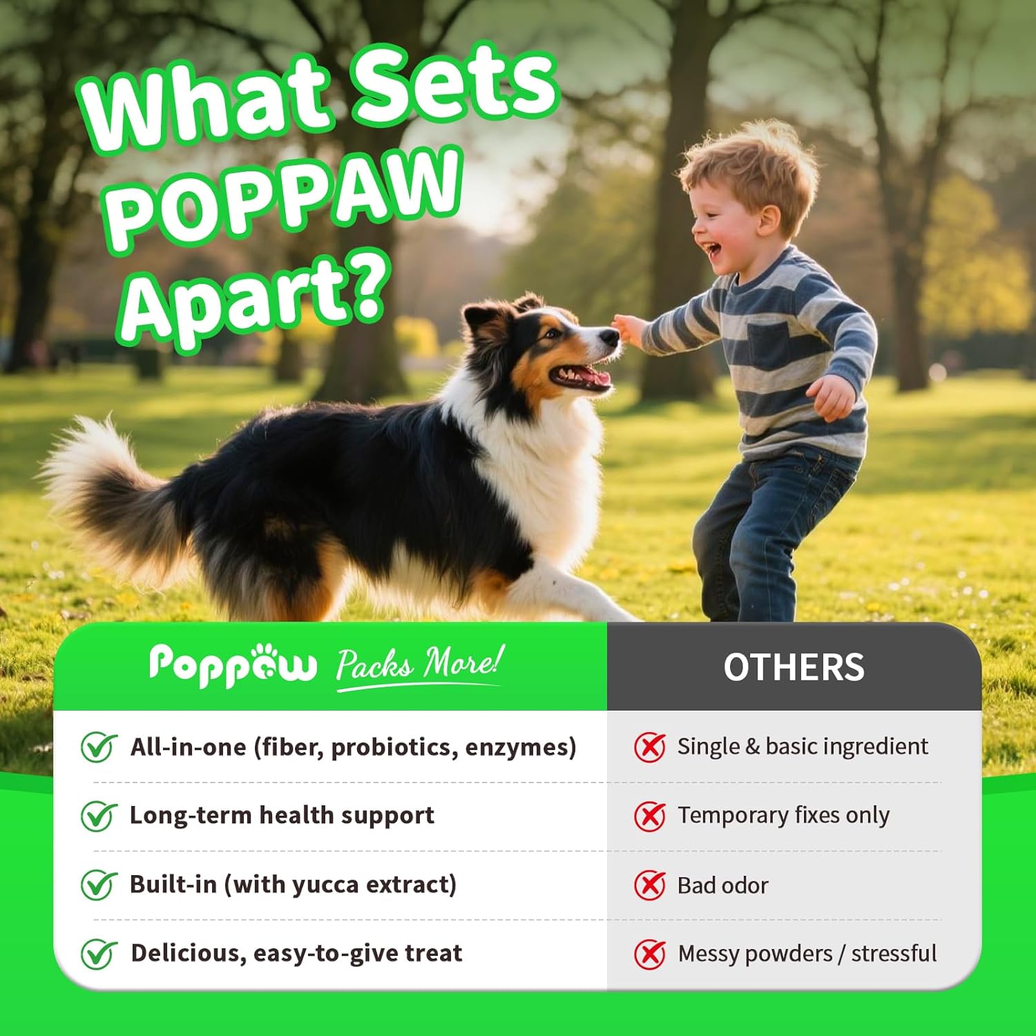Dog Probiotics Digestive Enzyme Chews